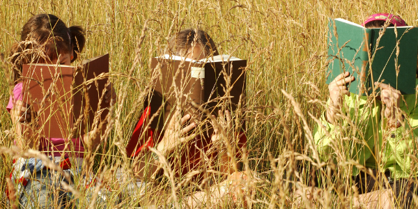 Blogbild Leser im Gras 9 tolle Möglichkeiten, dein Buch zu vermarkten